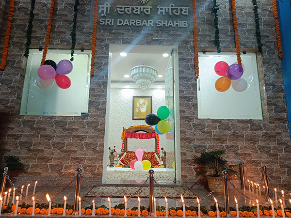 Daffohils Team members