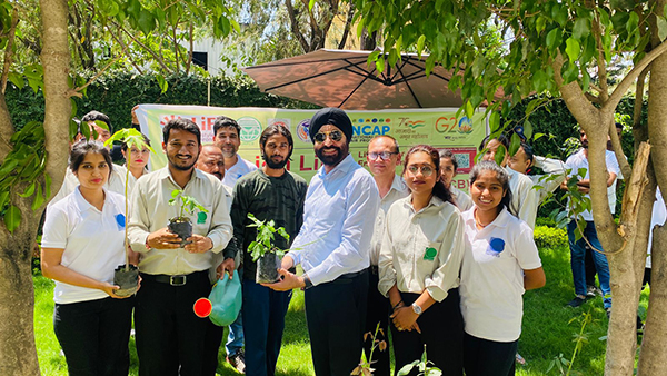 the membe of Daffohils