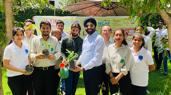 the membe of Daffohils