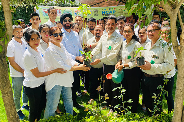 team Daffohils staffs