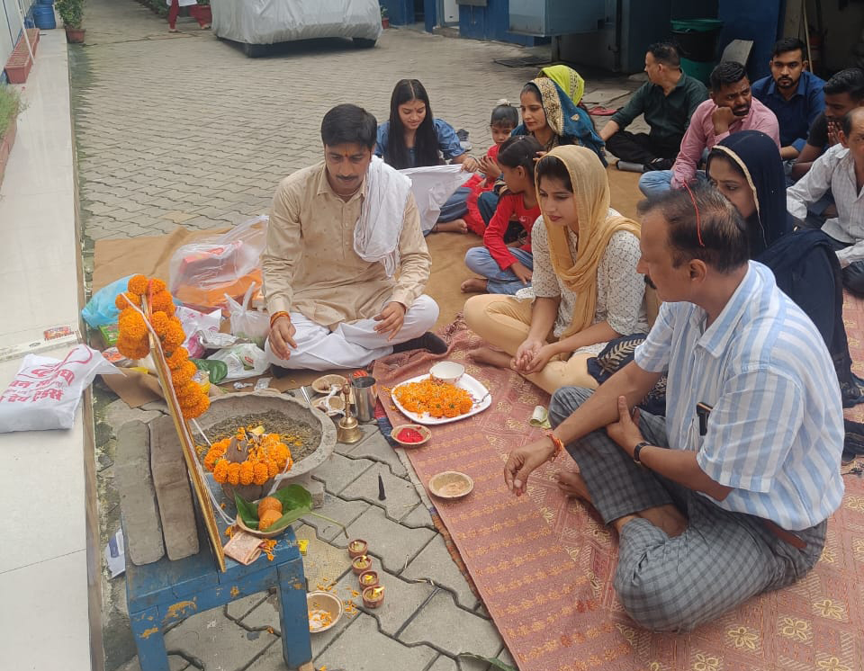 Daffohils team members