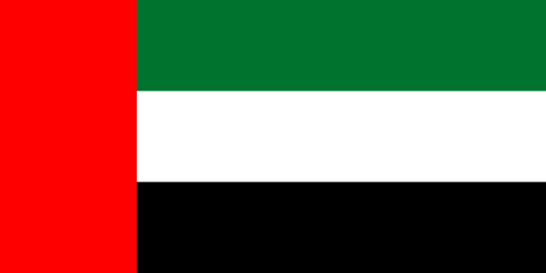 flag 2
