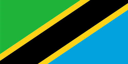 flag 4