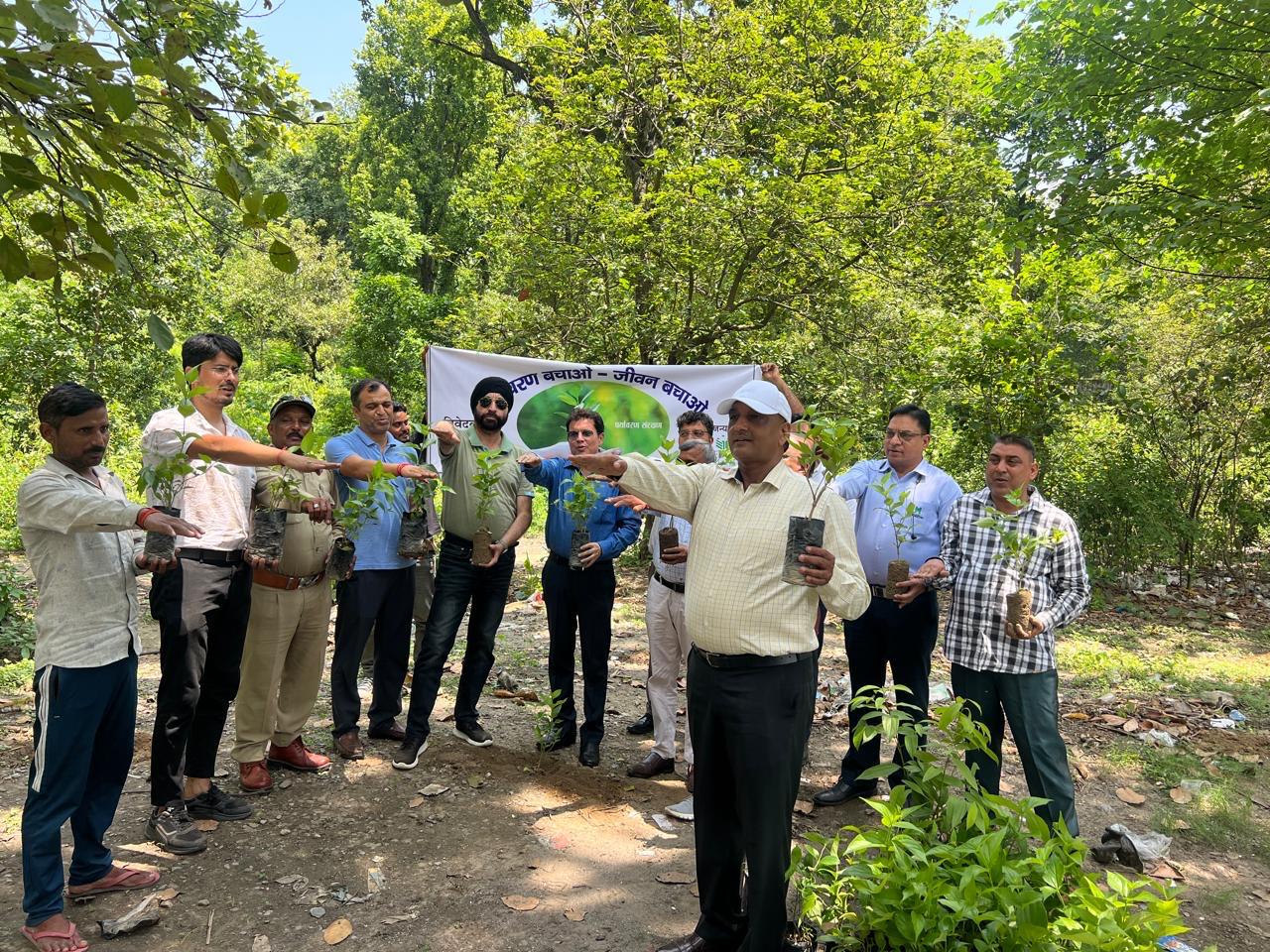 Team Daffohils member