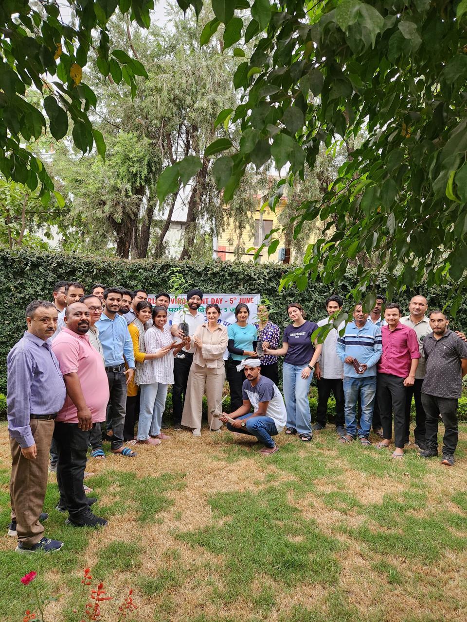 Team Daffohils staffs